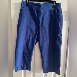 Women’s Ruby Rd Capris, Size 16P, Blue